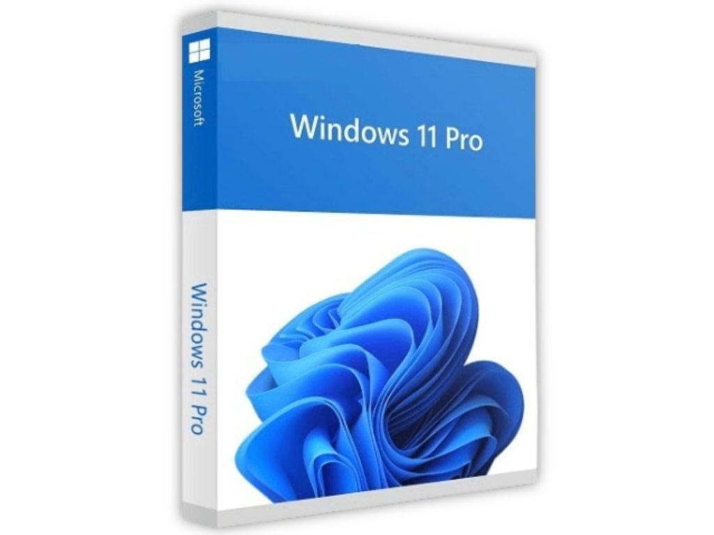 Windows 11 Professional